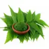 Neem Pesticides